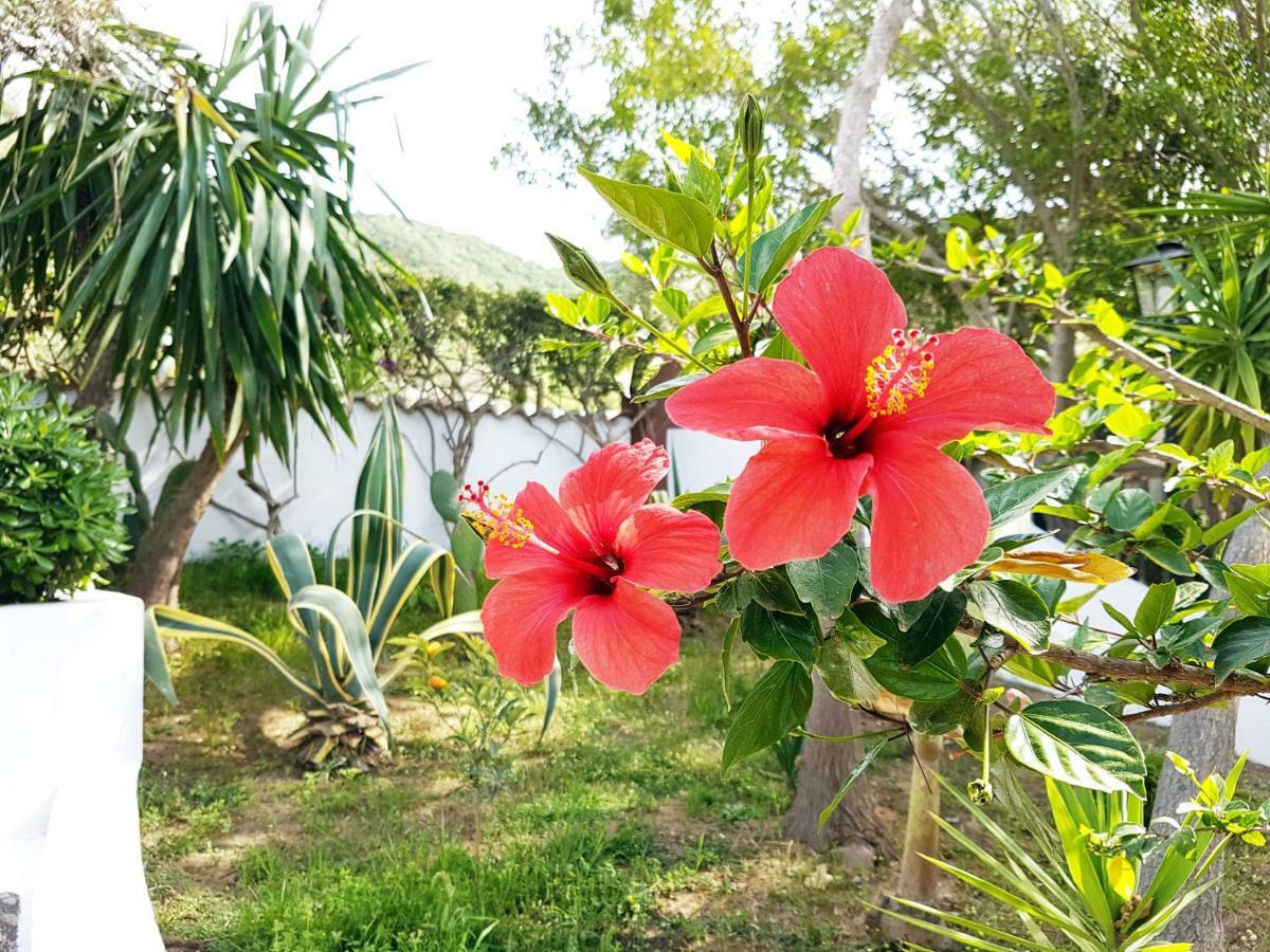 פרגליה Villa Del Sogno מראה חיצוני תמונה